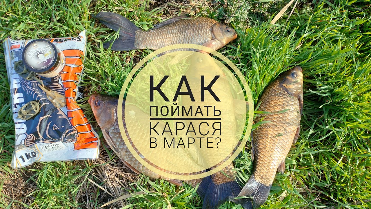 Как поймать карася в Марте ? // Ловля крупного карася в начале весны.