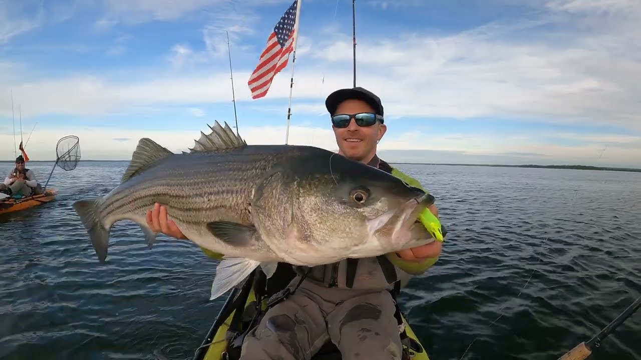 A very nice Striped Bass for May 18, 2024 - (deep jigging)