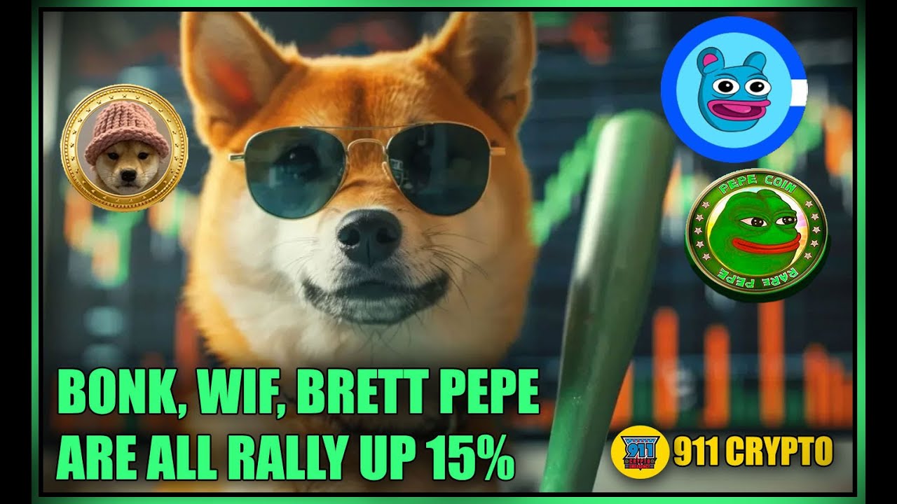 Meme Coin Rally: BONK, WIF, BRETT, and PEPE Up 15% | Crypto News Update
