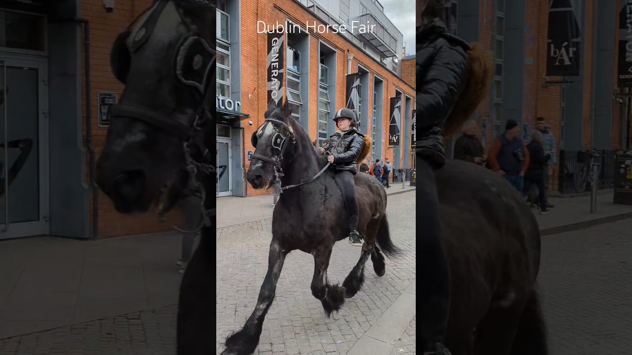 when you bump into a horse fair in the middle of the city! That's Dublin! #horsefestival #horsefair