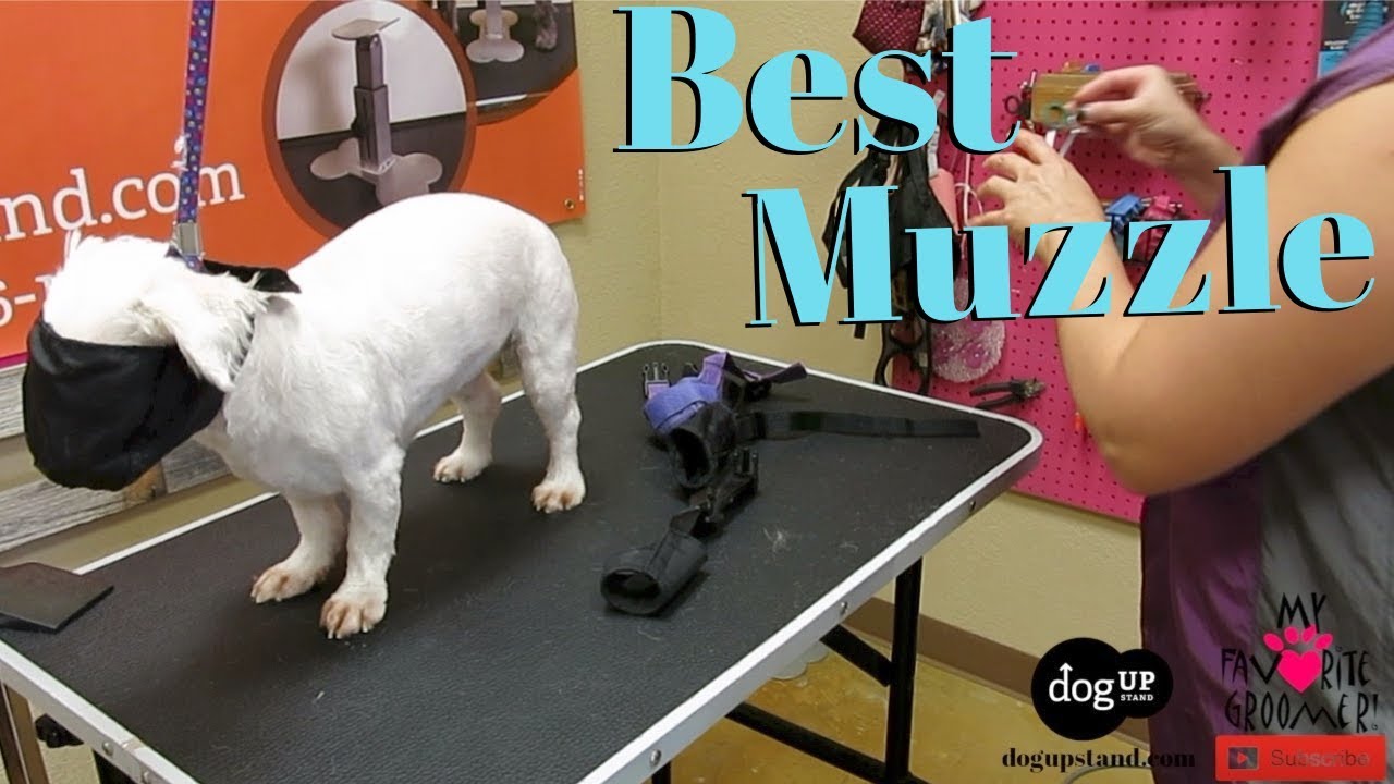 What Muzzle Should I Use