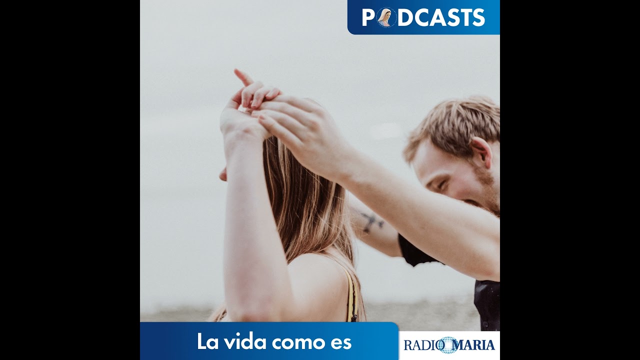 La vida como es 11/02/26