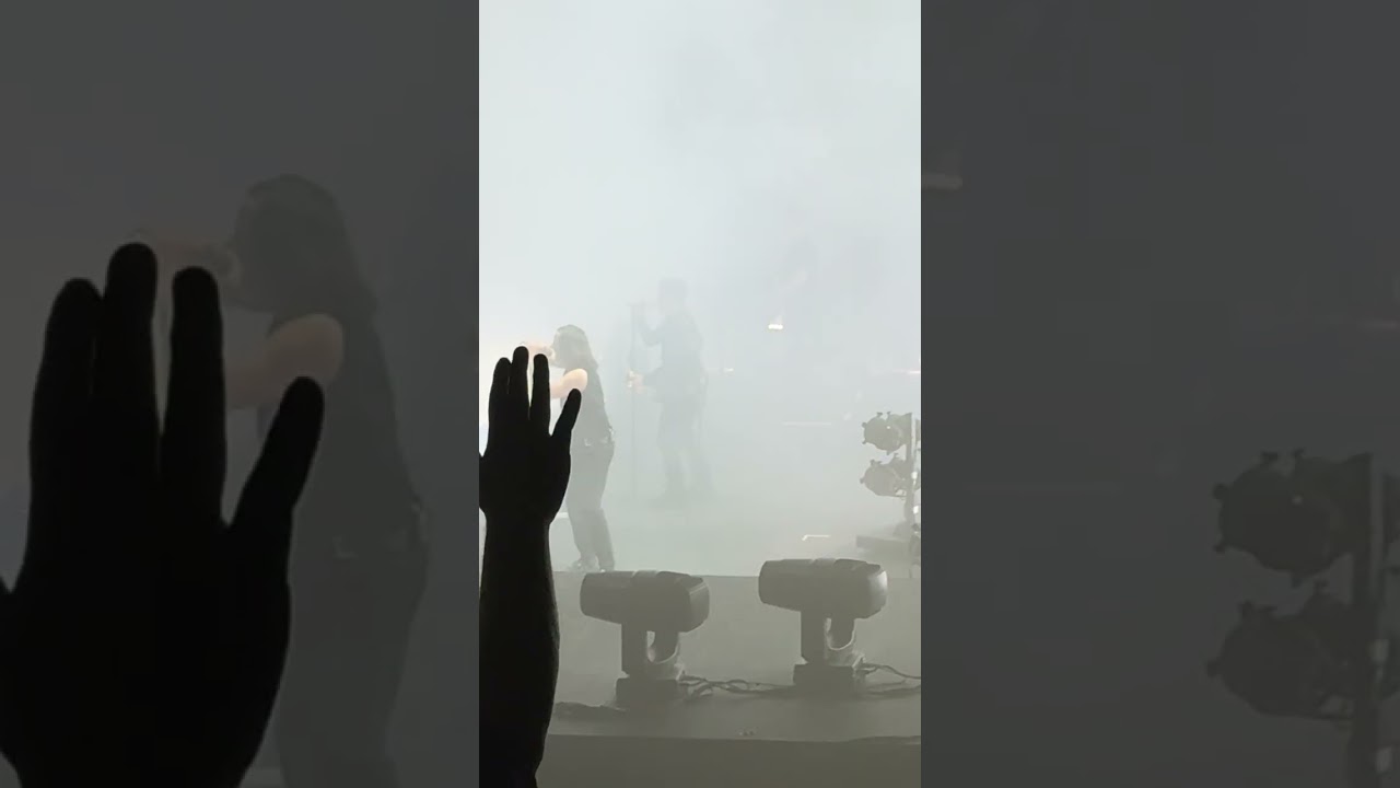 NIN Head Like A Hole