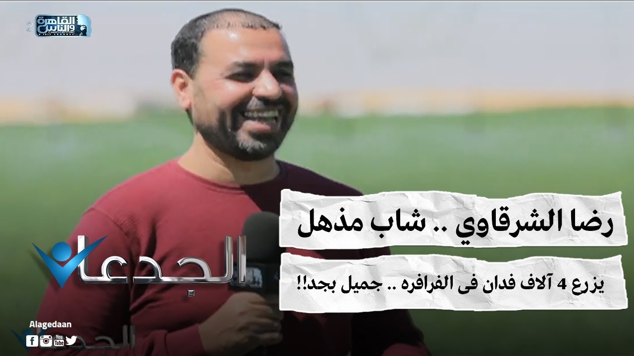 رضا الشرقاوي .. شاب مذهل .. يزرع ٤ آلاف فدان فى الفرافره .. جميل بجد!!