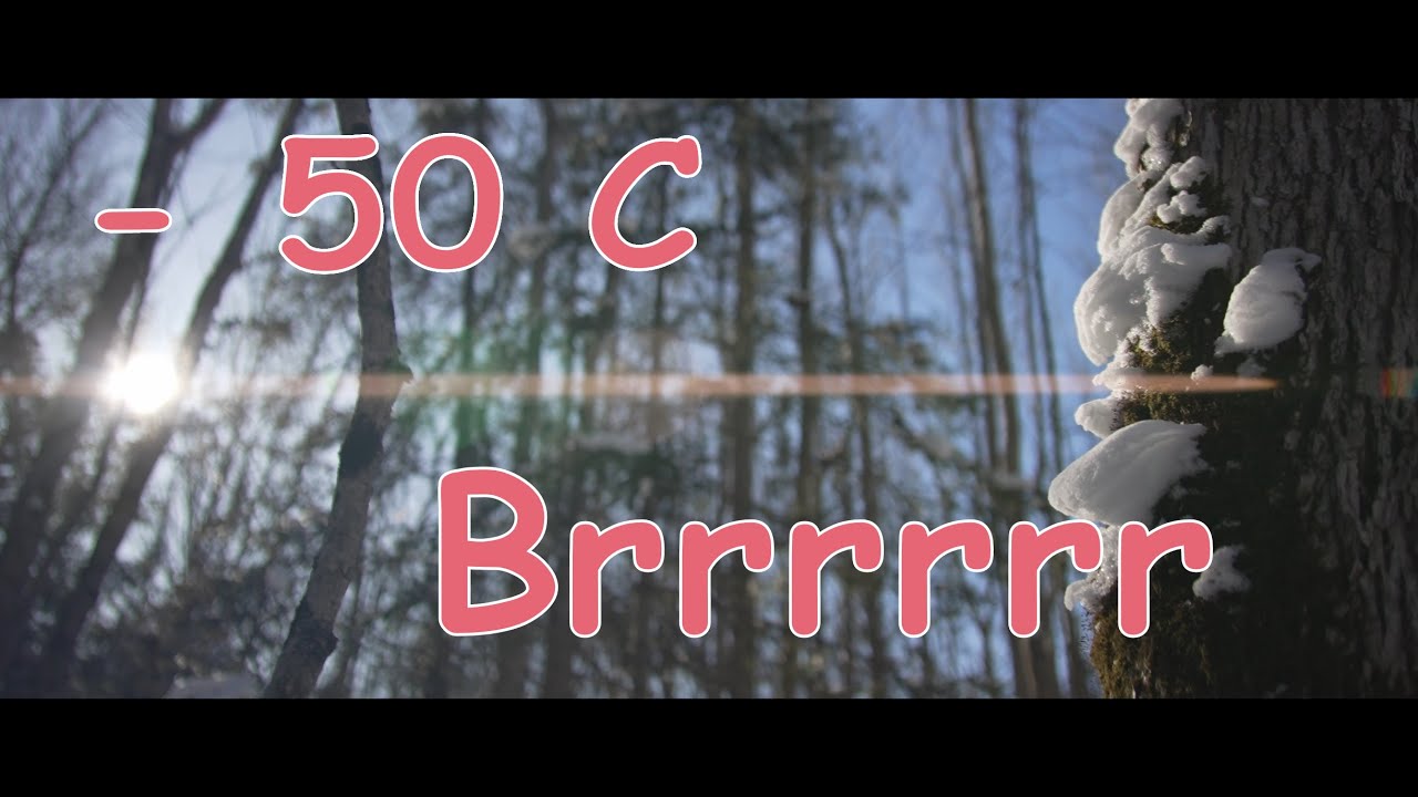 - 50 C Polar Inversion - I Froze My Bits