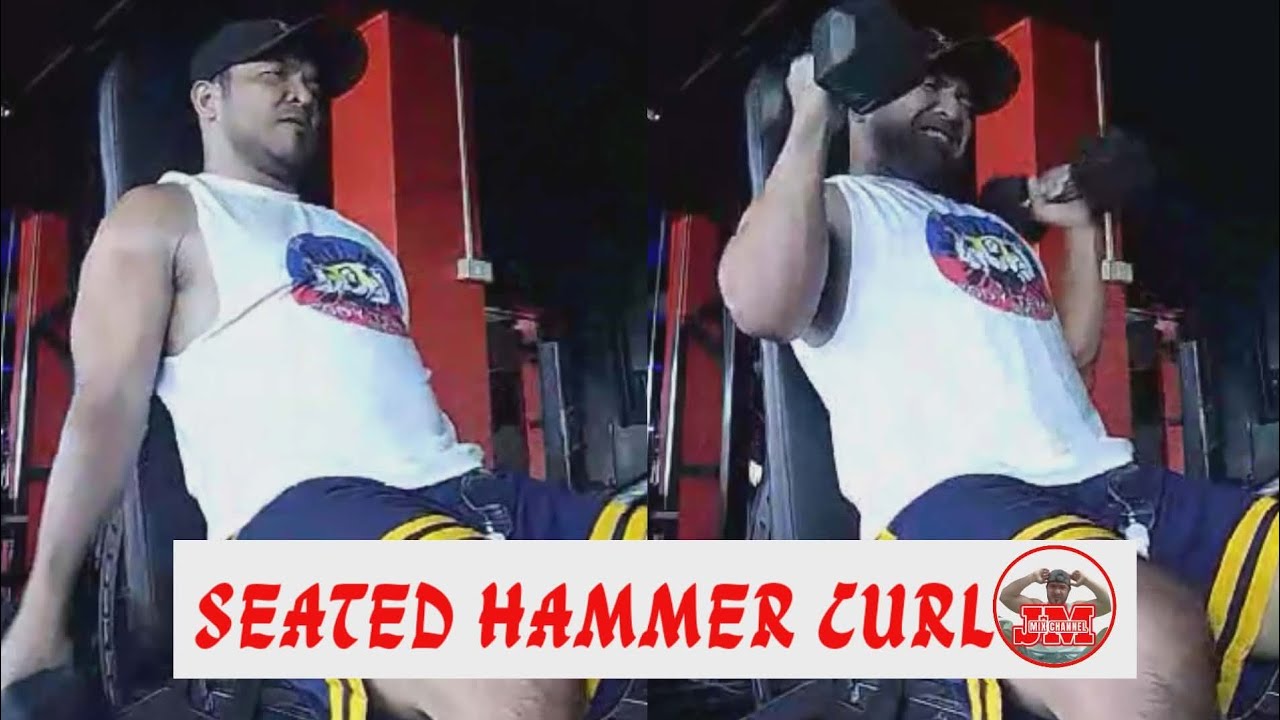 SEATED HAMMER CURL  