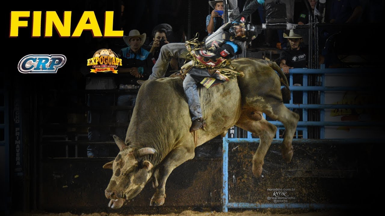 FINAL EM TOUROS - Rodeio de Guapirama 2019
