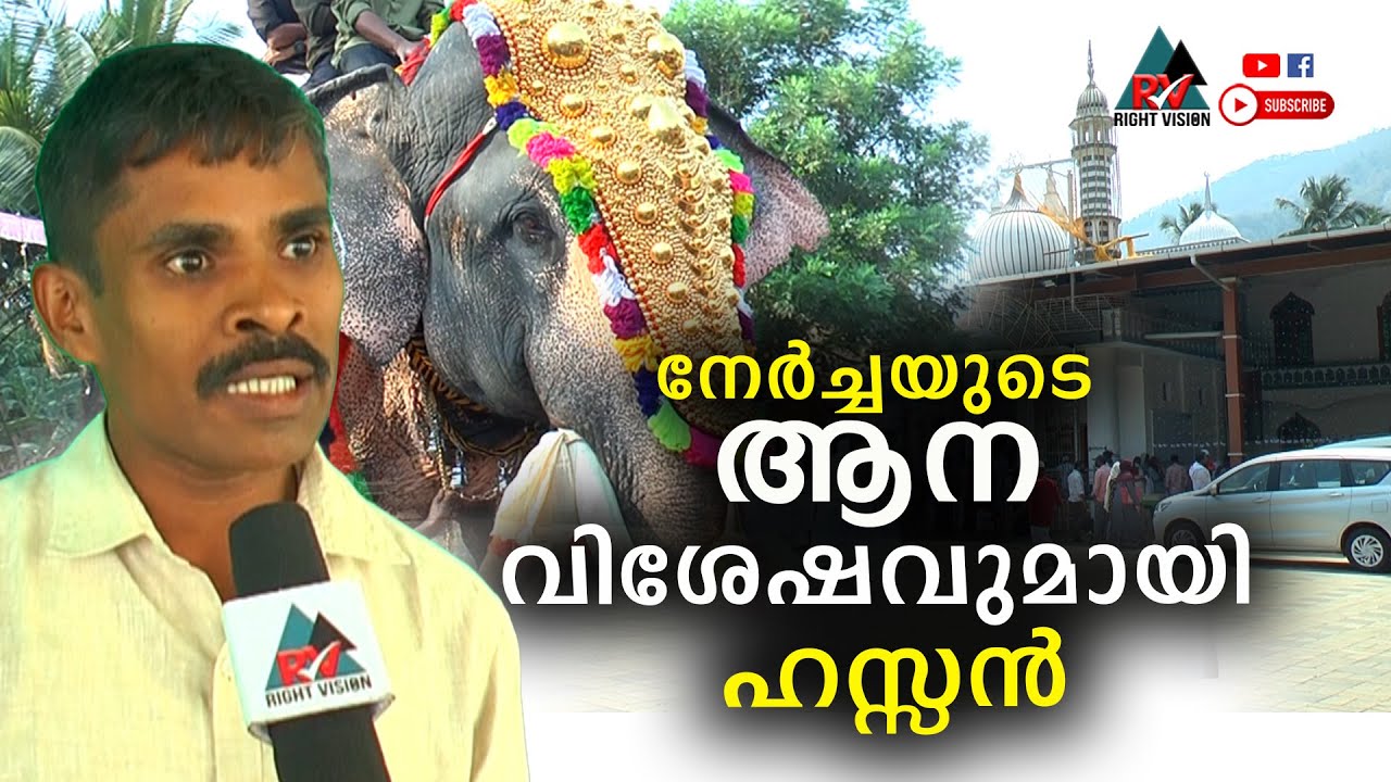 ചേലക്കര:: കാളിയാറോഡ് നേർച്ചക്കെത്തുന്ന ആനകളുടെ വിശേഷങ്ങളുമായി ഹസ്സൻ
