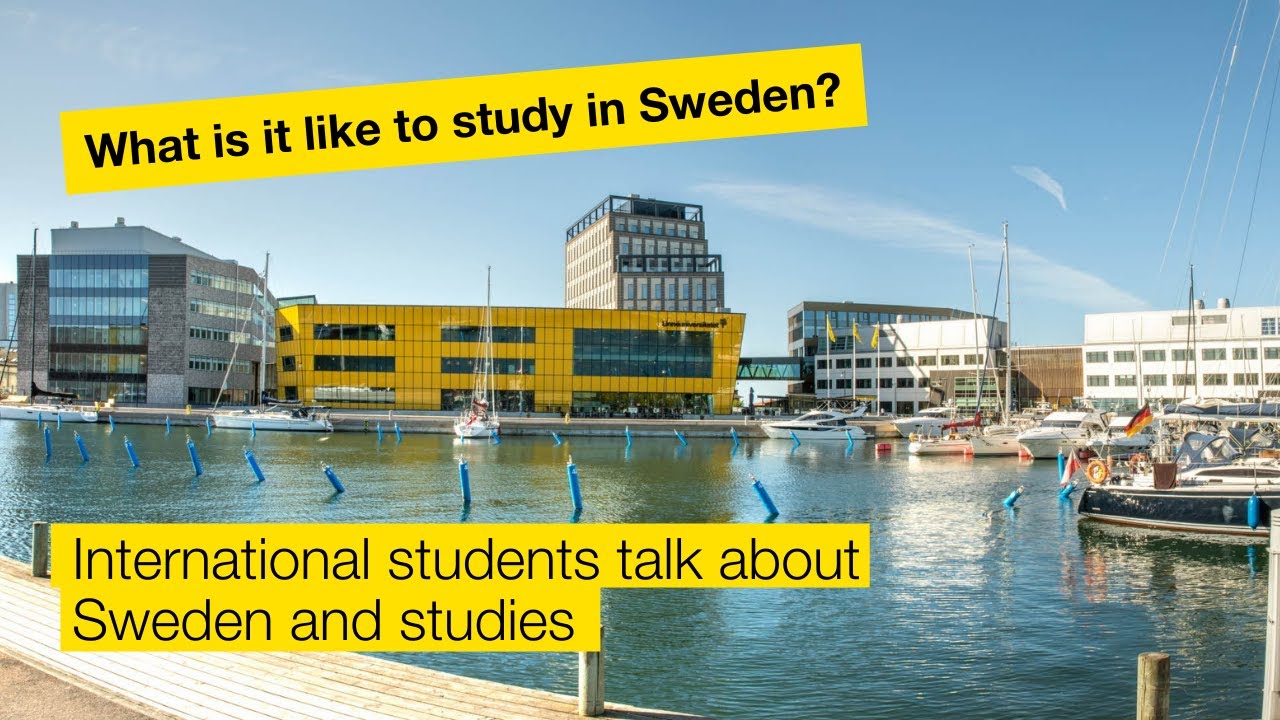 What is it like to study in Sweden? International students give their perspectives and best tips!