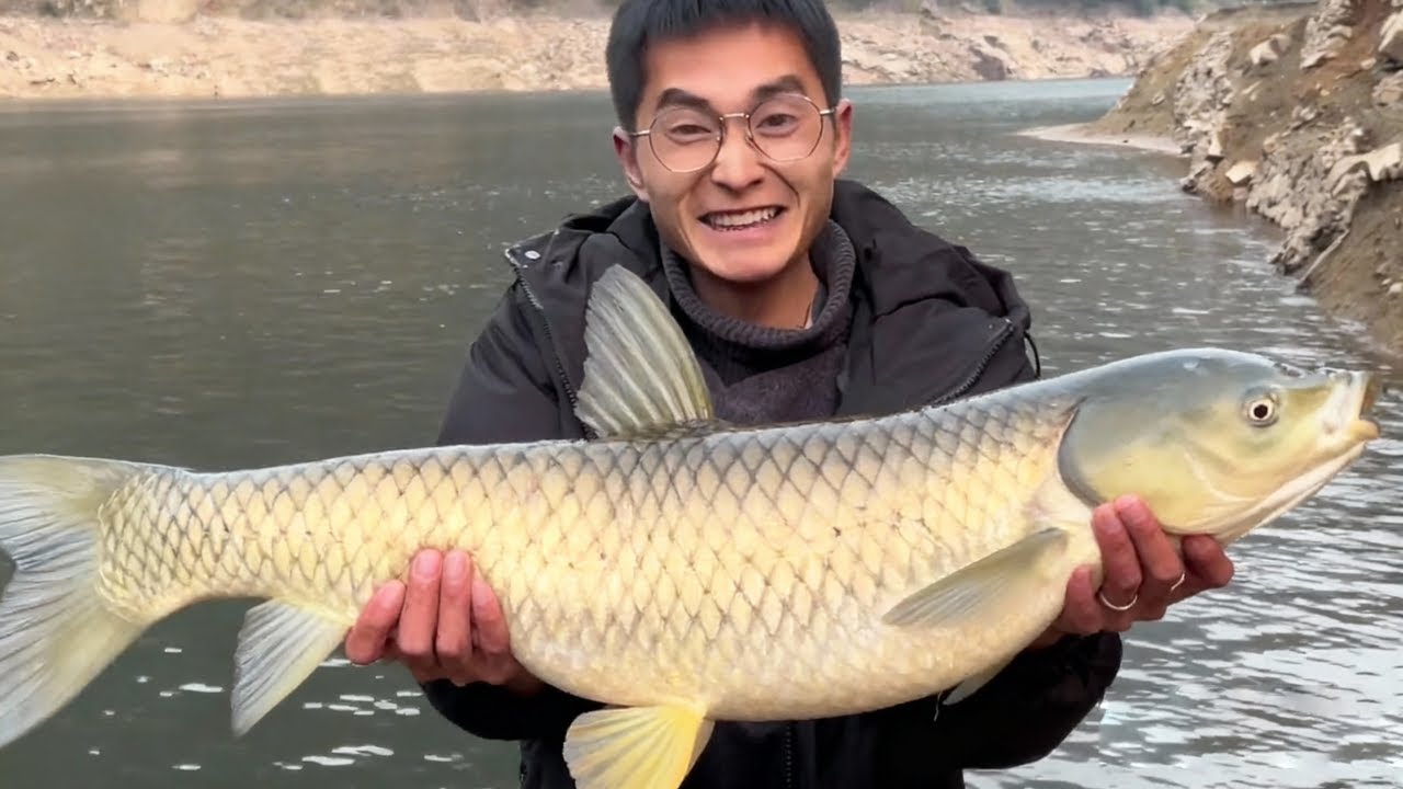 探钓深山大峡谷水库，刚下杆就中200斤级大草鱼！#户外 #大魚 #野钓