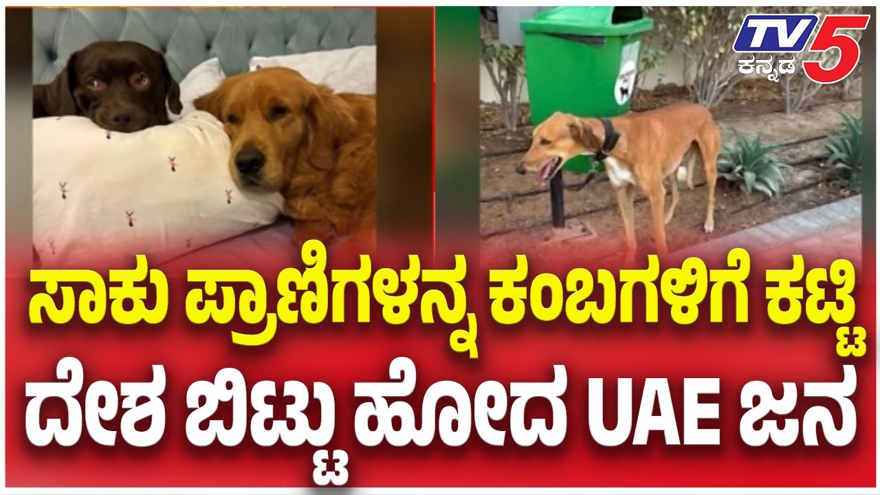 War Effect On Animals:ಸಾಕು ಪ್ರಾಣಿಗಳನ್ನ ಕಂಬಗಳಿಗೆ ಕಟ್ಟಿ ದೇಶ ಬಿಟ್ಟು ಹೋದ UAE ಜನ