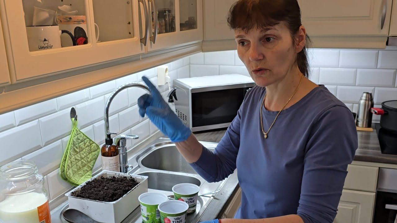 НОРВЕГИЯ. ЧТО МЫ СКРЫВАЕМ И СКРЫВАЕМ ЛИ МЫ ..... 