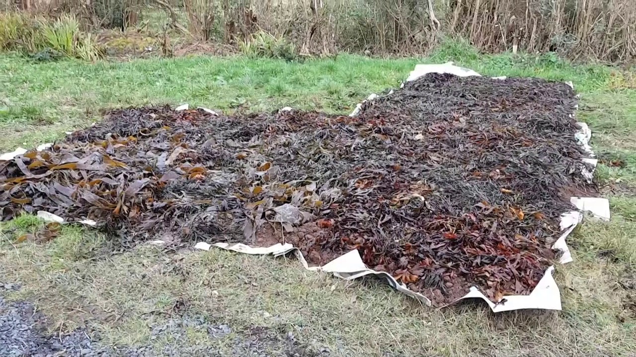 Mulch Gardening in the West of Ireland