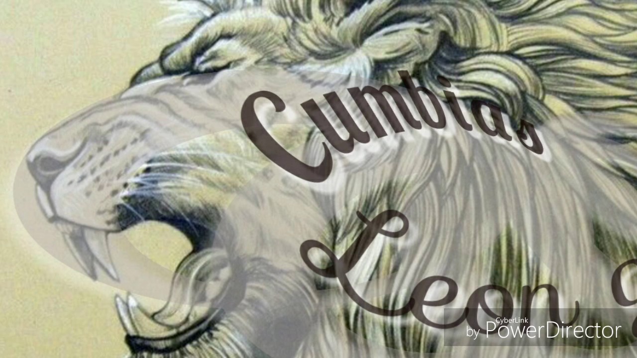 Cumbia adios amor