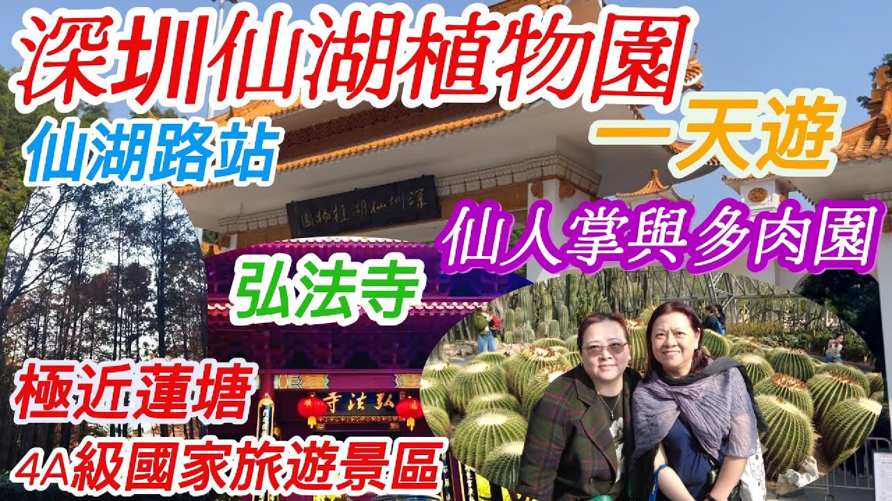 深圳仙湖路站🌈仙湖植物園🌈國家4A級旅遊景區丨極近蓮塘口岸丨景區景點介紹😊 深圳最大寺廟弘法寺丨仙人掌與多肉園🌵丨門票￥15丨🚇2號線仙湖路地鐵站B出口 #深圳一日遊 #深圳好去處 蓮塘口岸過關💥