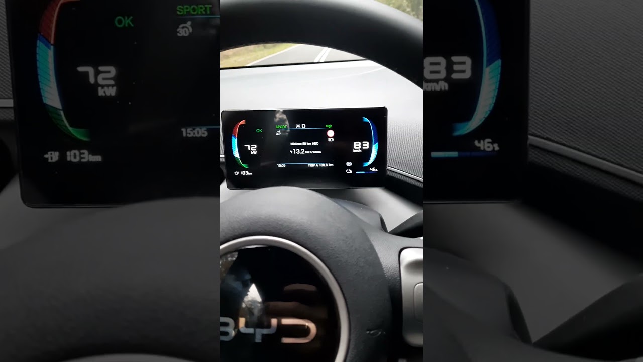 BYD DOLPHIN SURF 88 KM, 0-100 KM
