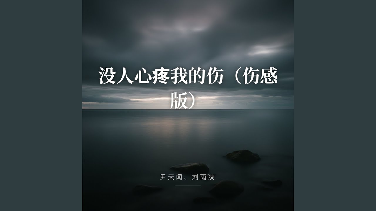没人心疼我的伤（伤感版）