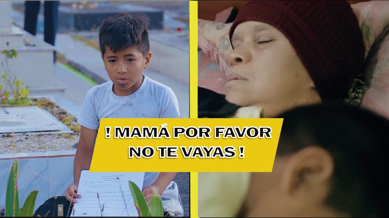 Rσbó sus calificaciones para llevárselos a su madre que esta en el cementerio.