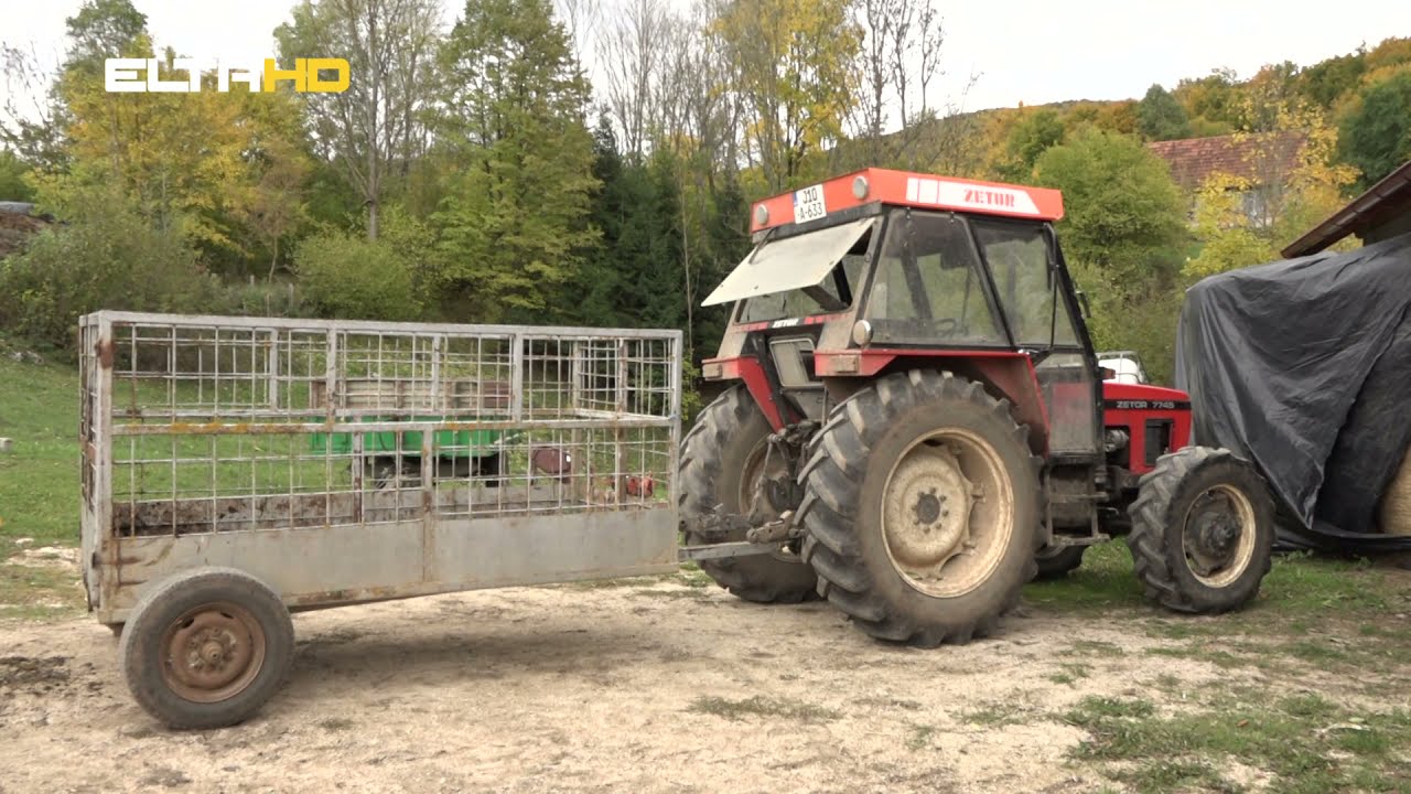 ŽIVOT NA MANJAČI -  PORODICA RADANOVIĆ