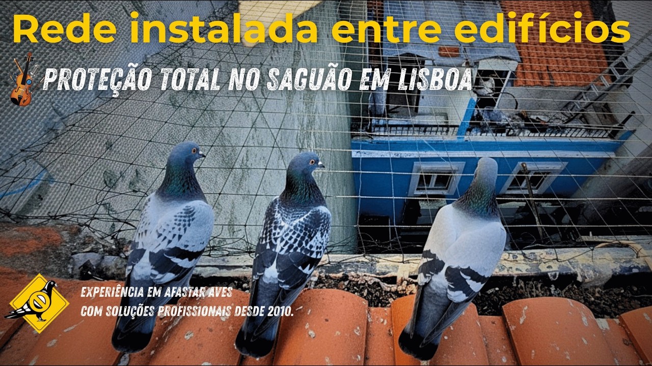 Afastar pombos do saguão: rede no topo (obra em Lisboa)
