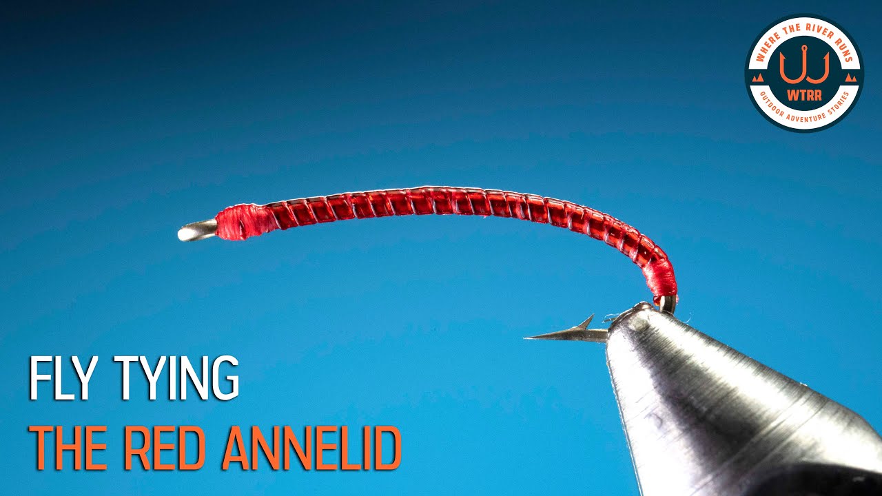 A must-have Trout fly - The Red Annelids