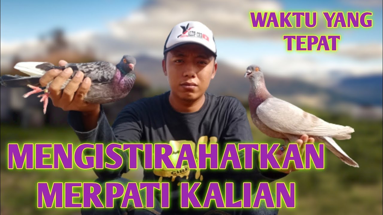 WAKTU MERPATI BALAP ISTIRAHAT @ALDP_CRB