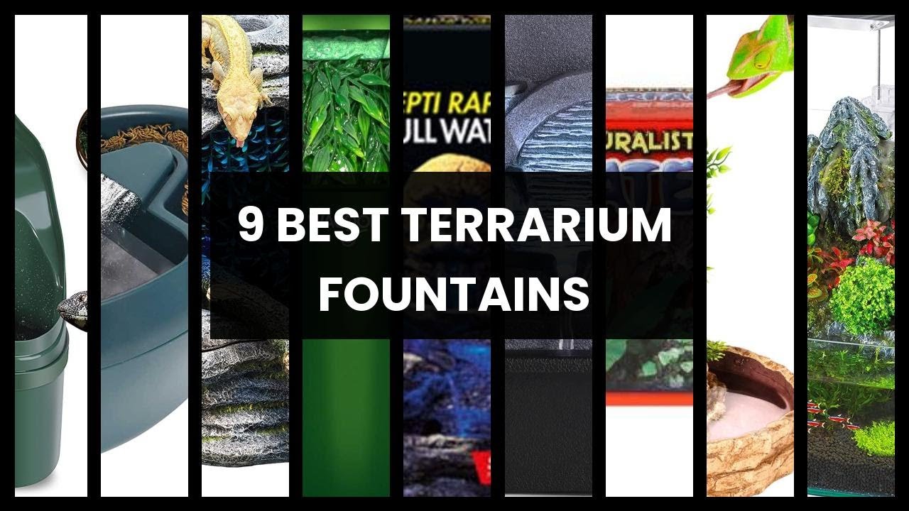 Terrarium fountain: 9 best terrarium fountains