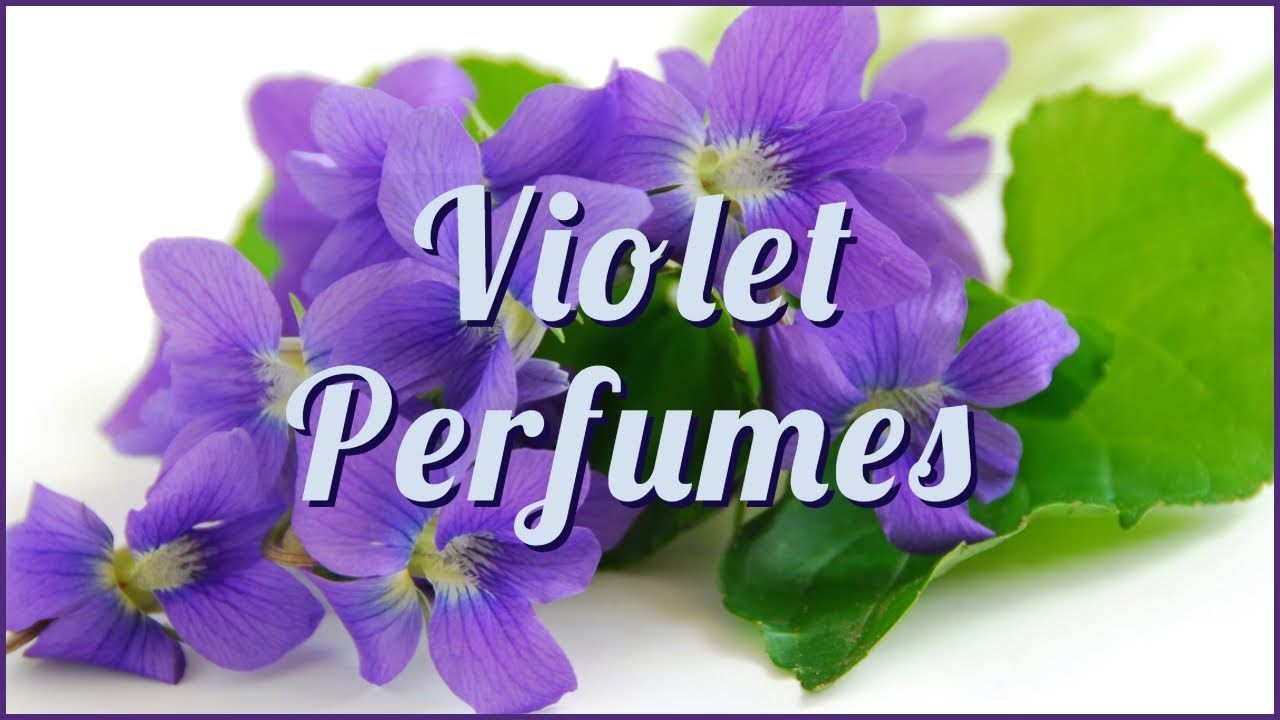 Violet Perfumes