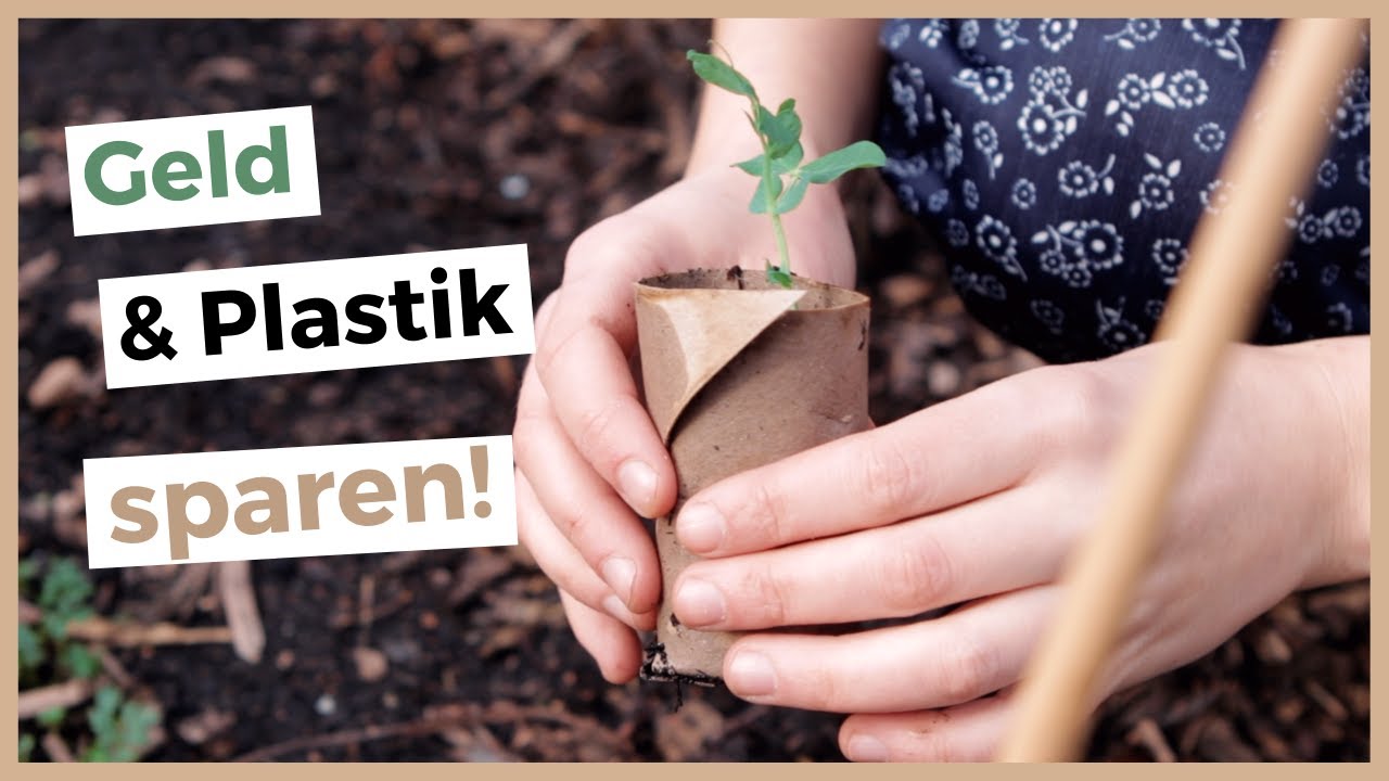 3 Ideen, um Pflanztöpfe selber zu machen 🌱 Pflanzenanzucht ohne Plastikmüll!