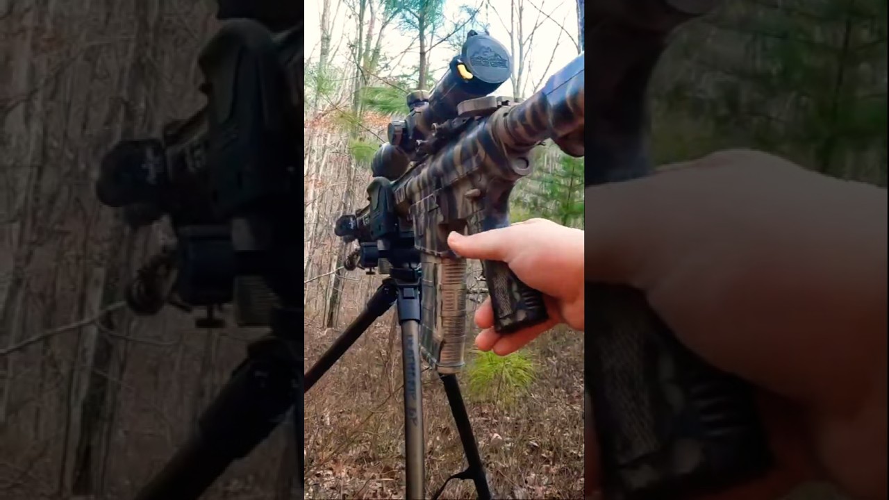 Ваша средняя публичная охота