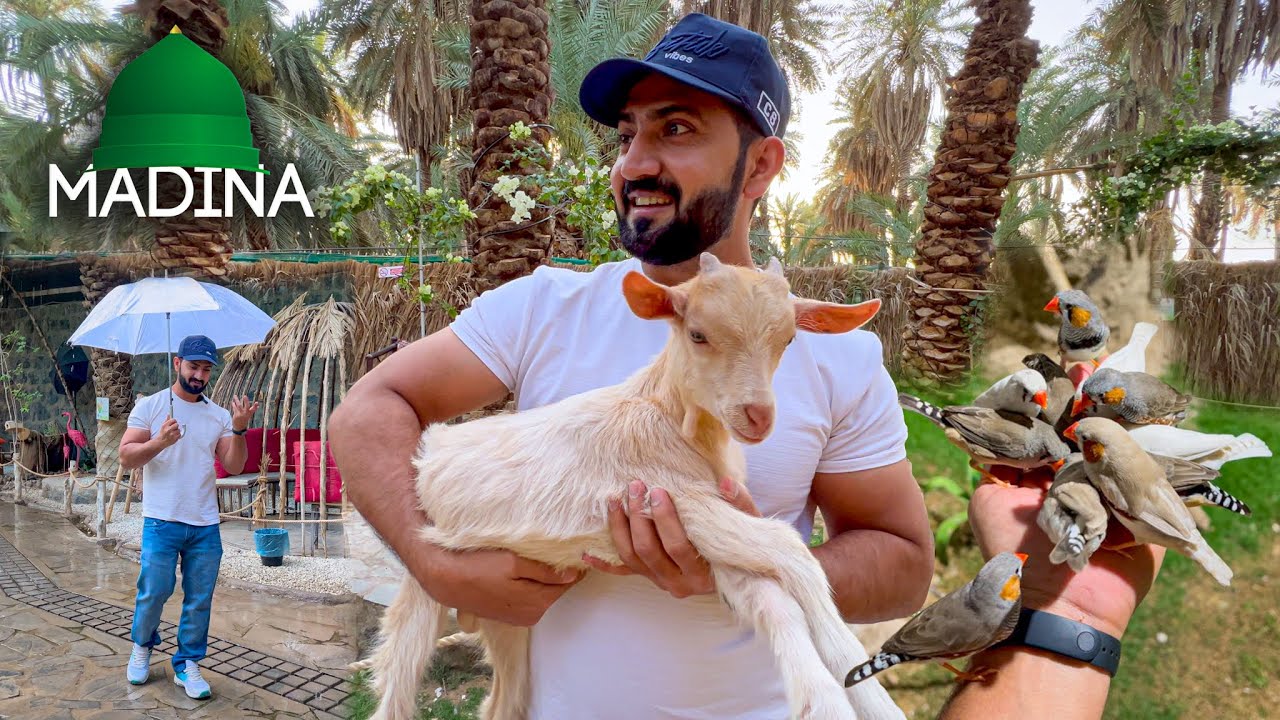 This Park Has Unique Experience for Visitors in Center of Madina city