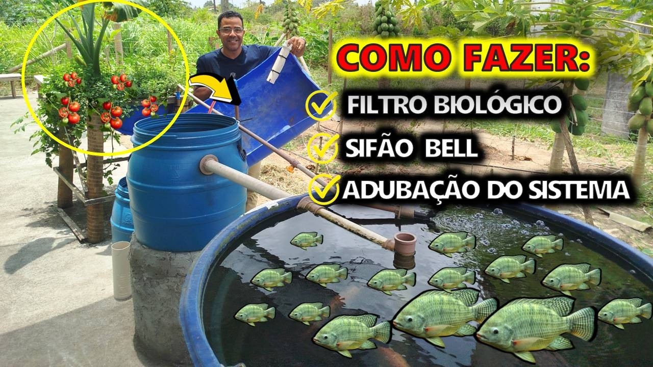 🐟COMO CRIAR TILÁPIAS EM CAIXA D'ÁGUA: AQUAPONIA FÁCIL E BARATA!