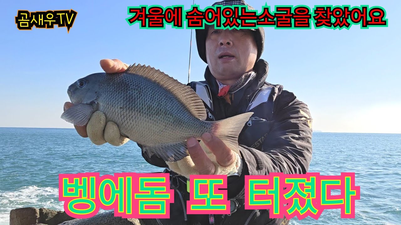 벵에돔 연속으로 만쿨 입니다^^ 벵에돔 소굴을 찾았어요 .벵에돔 던지면 무는곳 #곰새우TV #카멜레온찌 #벵에돔낚시 #벵에돔 #갯바위낚시 #지세포 #강성낚시 #옥림 #빵가루낚시 