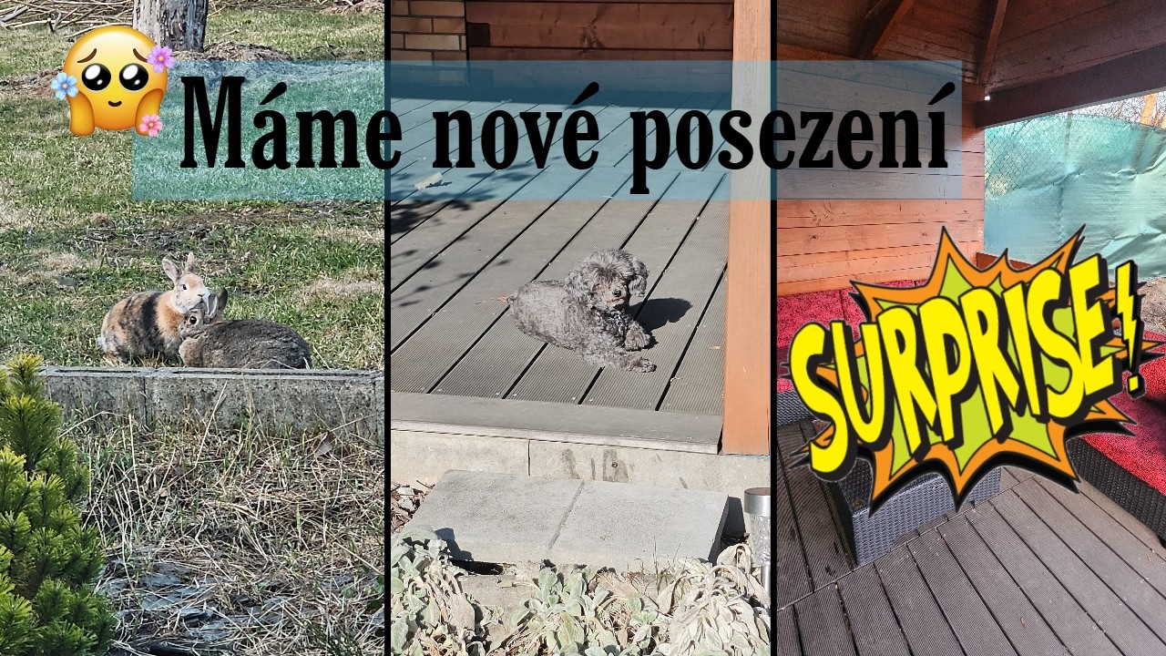 PRACUJEME na zahradě a HLÍDÁME ELLINKU 🐶😊| VLOG