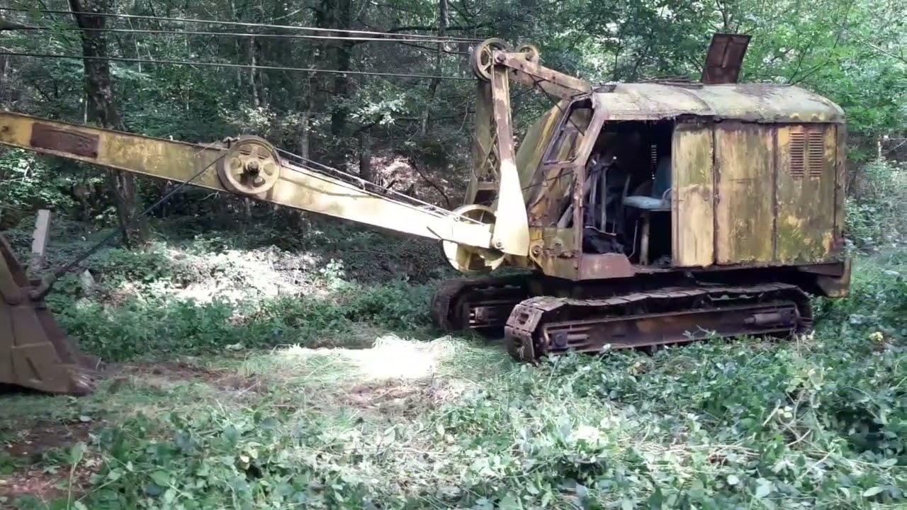 nordest  sortie d'un bois 29 août 2024