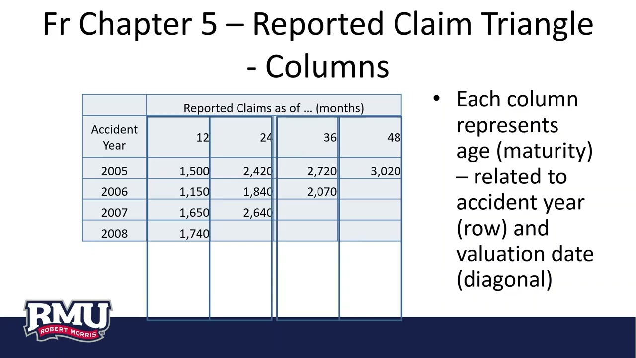 Vir02bPt1LossDevelopmentTri