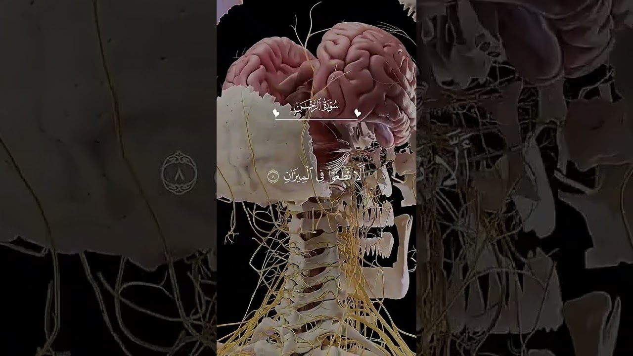 #ارح_قلبك -وسمعك