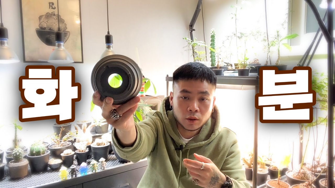 식물 키울 때 최고의 화분은 이겁니다. 화분 고르는 팁 / 제가 토분을 안쓰는 이유 (기본편) / 기존의 화분에 대한 생각을 깨드림 / 과습