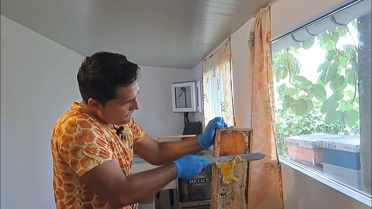 Extracție miere. Tratament cu Apivar. Stimulare cu sirop.