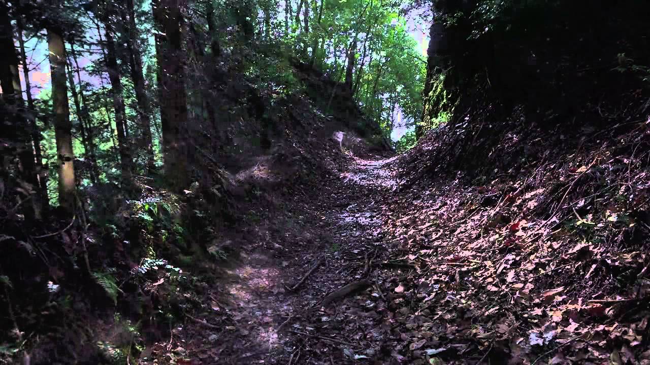 TENGGER - 음악과순례 MUSIC & PILGRIMAGE