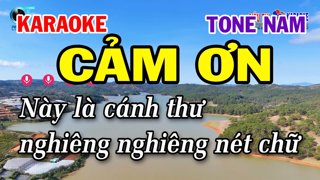 Karaoke Cảm Ơn Tone Nam ( Dm ) Nhạc Xuân Beat Mới Nhất 2026 | Siêu Thị