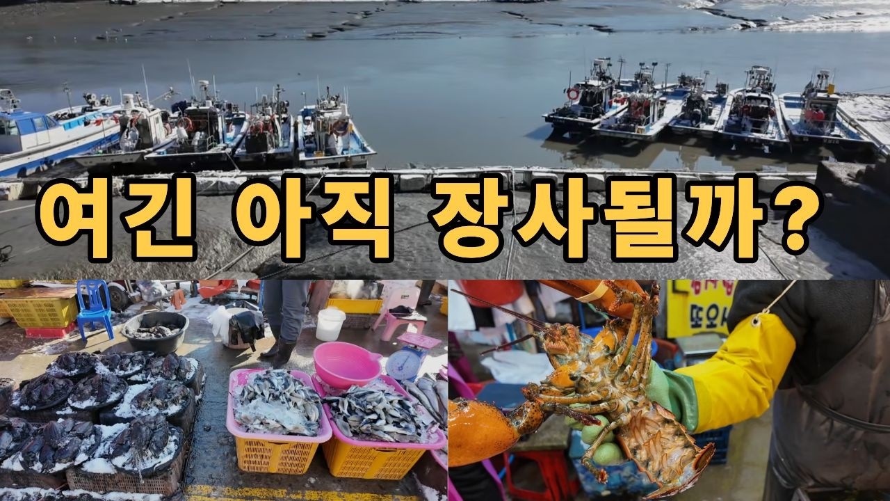 요즘 소래포구 전통어시장과 난전어시장, 직접 가봤습니다~! 힐링여행