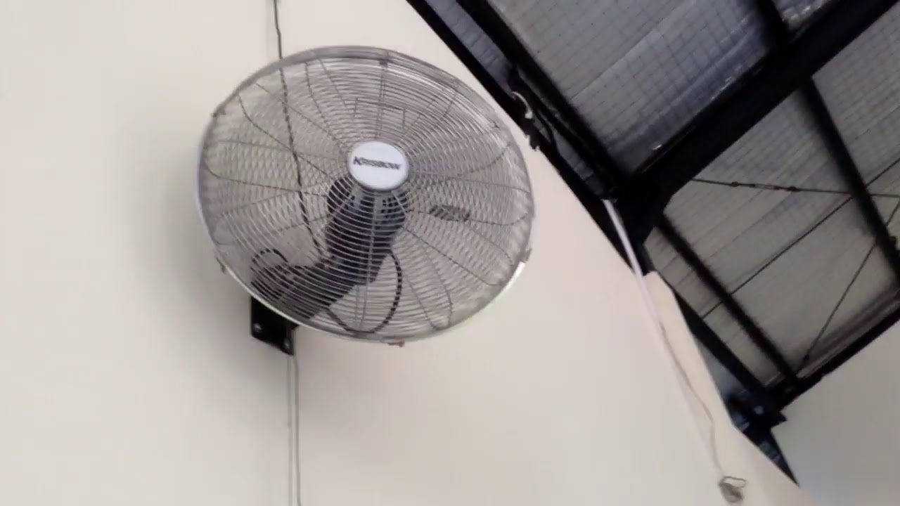 3 Industrial wall fans and 2 KDK exhaust fan in a restaurant