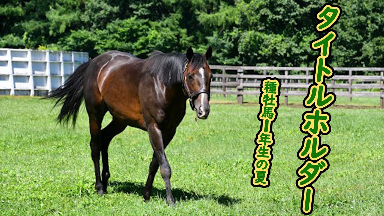 タイトルホルダー　種牡馬１年生の夏