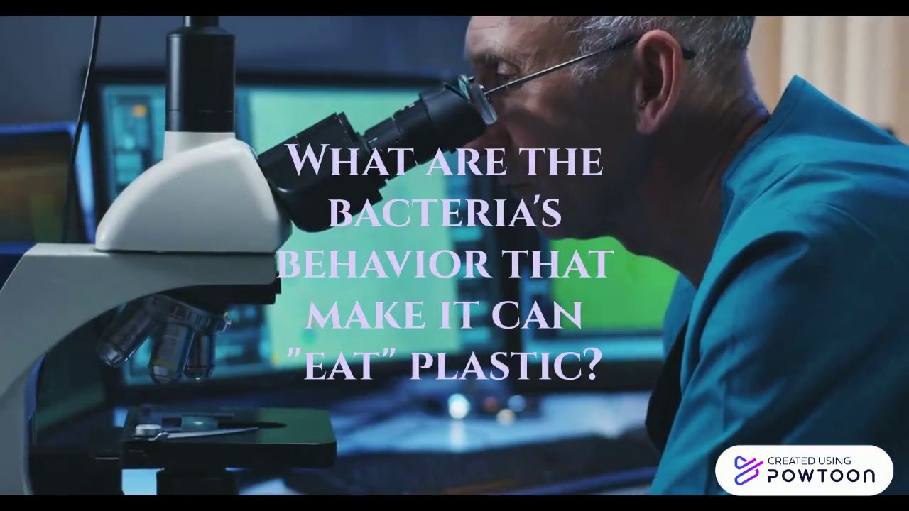 sc tech BACTERIA
