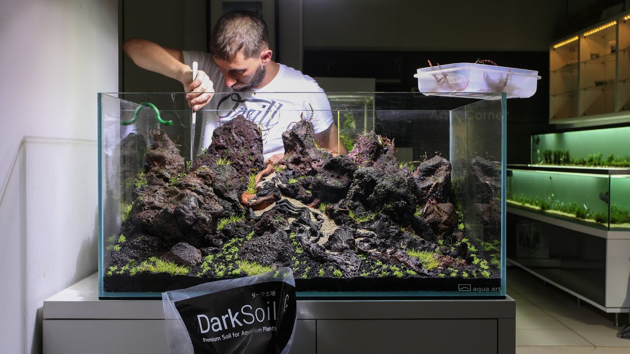 Dry River | Setup | 90x60x45cm | 243L