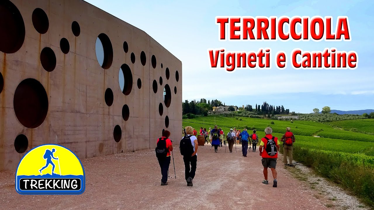 TREKKING: In giro per vigneti e cantine della Valdera - di Sergio Colombini