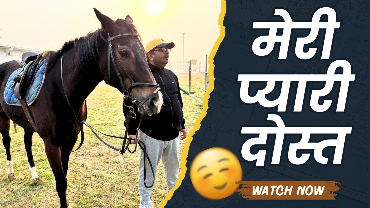 Meri Pyaari Dost 😊|  @lifeafter40hindi