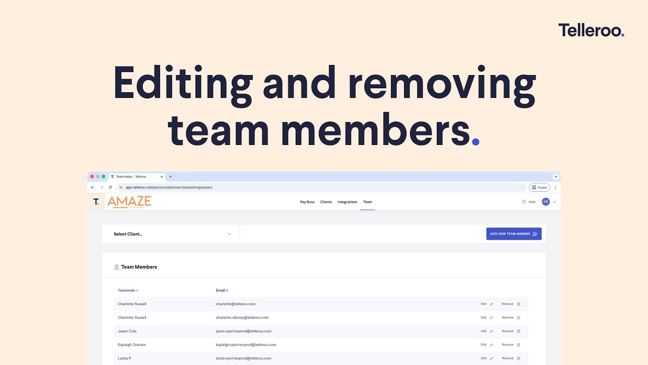 Editing and removing team members as an accountant or bookkeeper