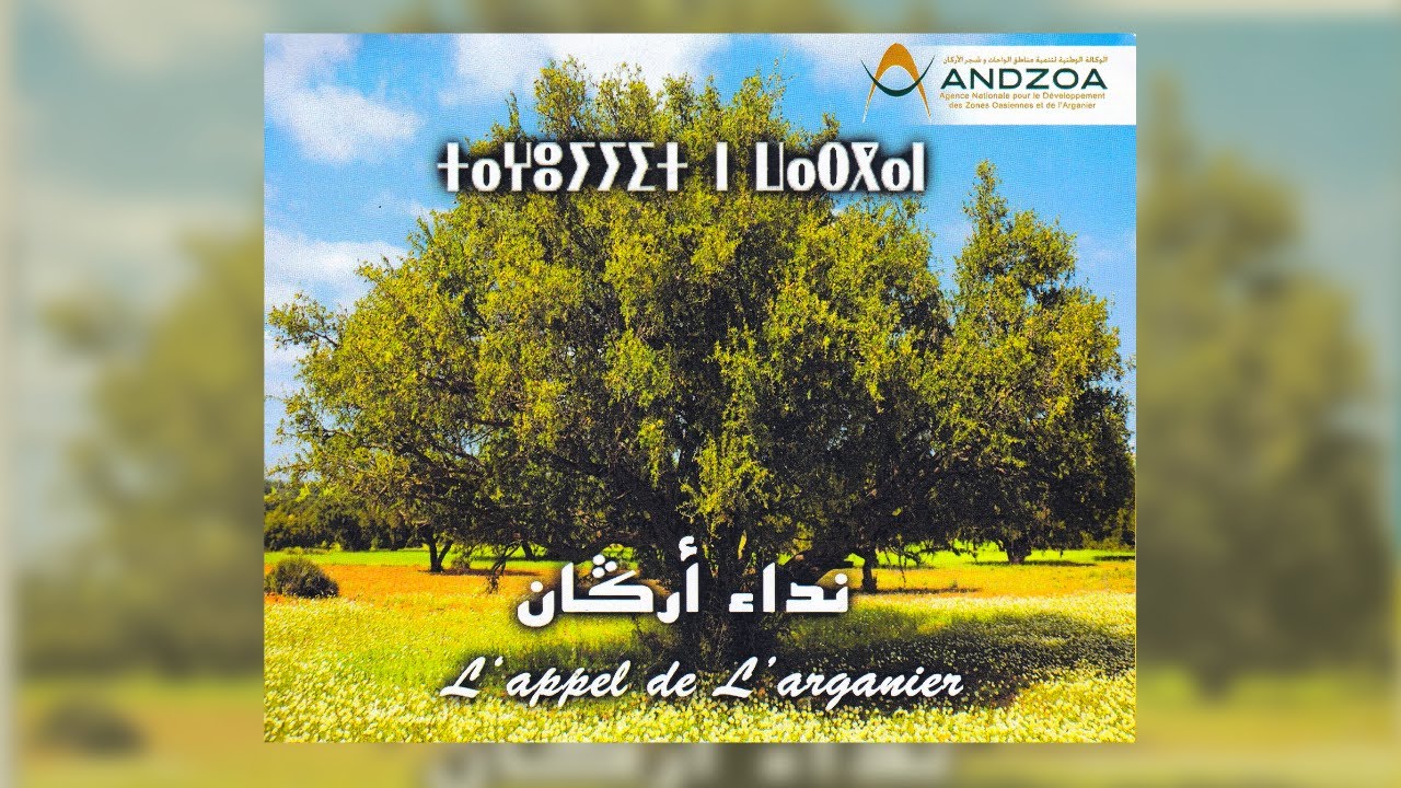 Taɣuyyit n wargan - ⵜⴰⵖⵓⵢⵢⵉⵜ ⵏ ⵡⴰⵔⴳⴰⵏ (l'appel de l'arganier)